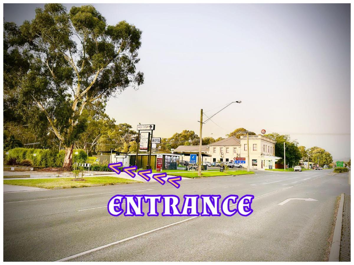 סימור Auto Lodge Motor Inn מראה חיצוני תמונה